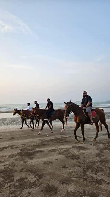 Horse Riding Muscat | Beach Horse Riding - Meeting points and what to bring