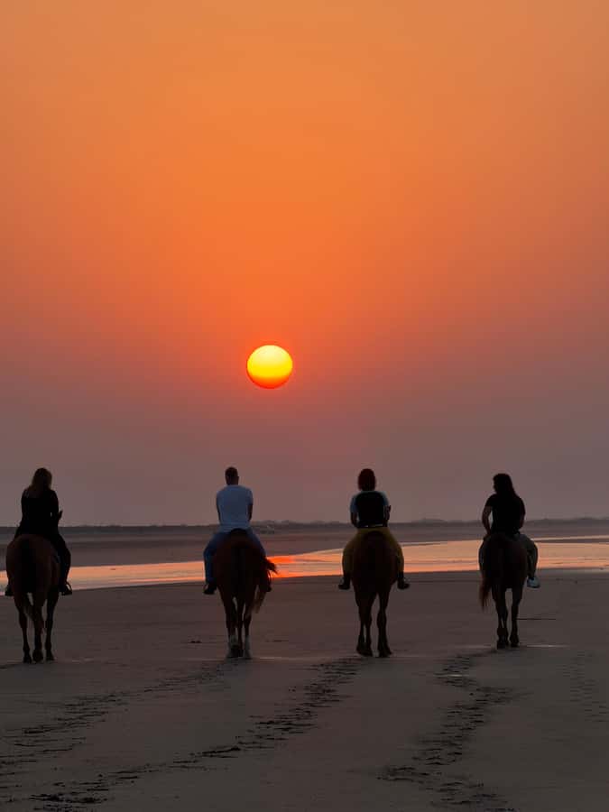 Horse Riding Muscat | Beach Horse Riding - Cancellation and booking flexibility