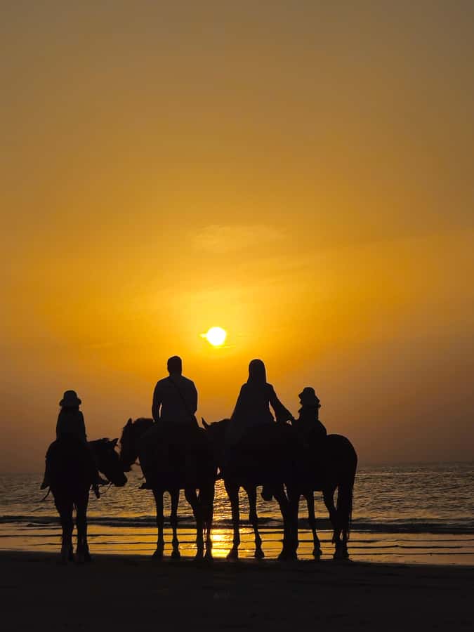 Horse Riding Muscat | Beach Horse Riding - Why the horses and guides matter