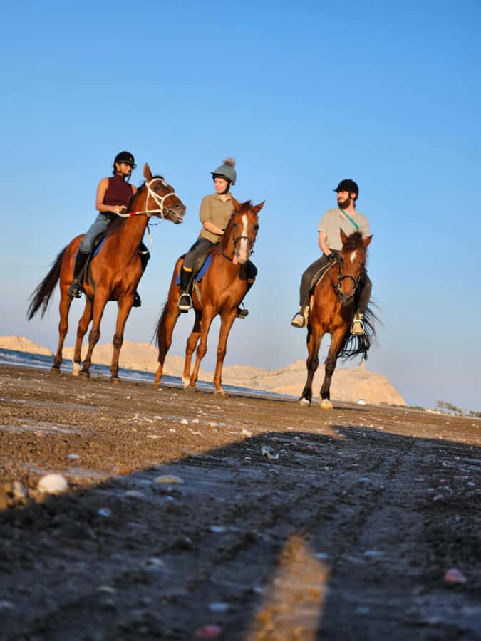 Horse Riding Oman - 2 hour ride - Key Points Before You Book