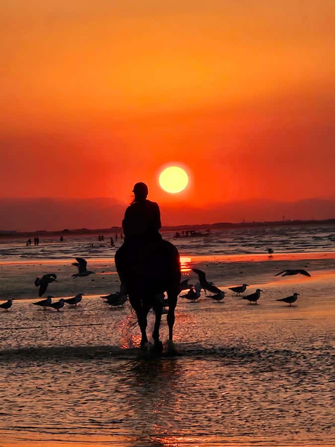 Horse Riding Oman - 2 hour ride - Why Al Sawadi Beach Makes the Ride Special
