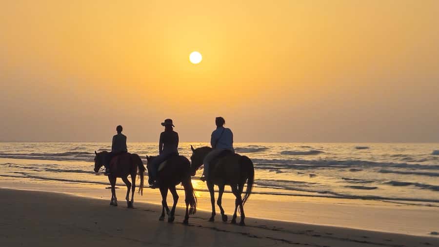 Horse Riding Oman - 2 hour ride - Who Should Book This Ride?