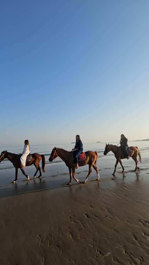 Horse Riding Oman - 2 hour ride - Cancellation and Booking Flexibility