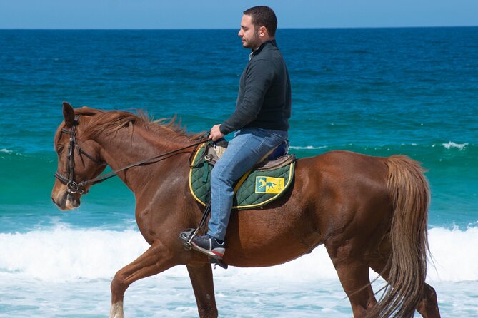 Horse Riding on Melides Beach - Key points to know before you book