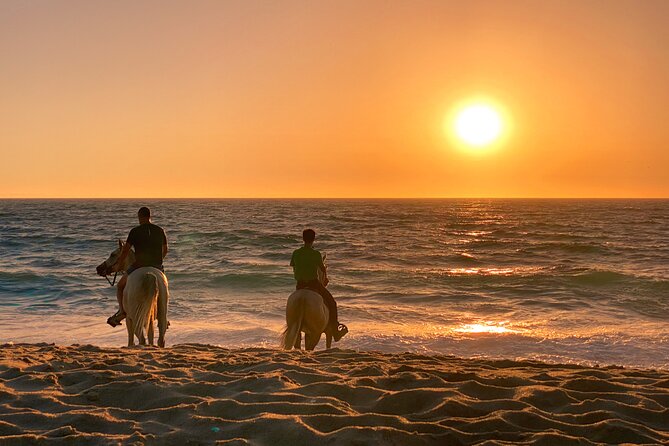 Horse Riding on Melides Beach - Why the forest section matters