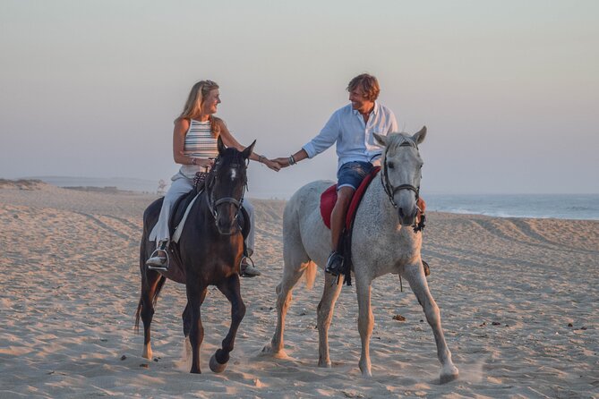 Horse Riding on Melides Beach - The horses and the pace of the ride