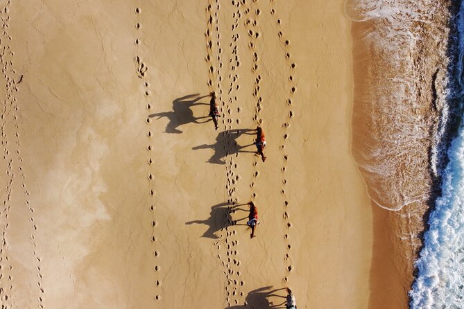 Horse Riding on Melides Beach - Weather, cancellations, and practical planning