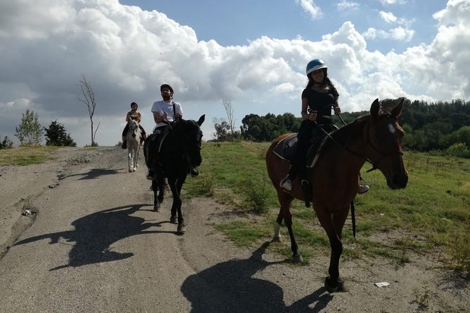 Horse Riding on Mount Vesuvius - Why beginners can enjoy it