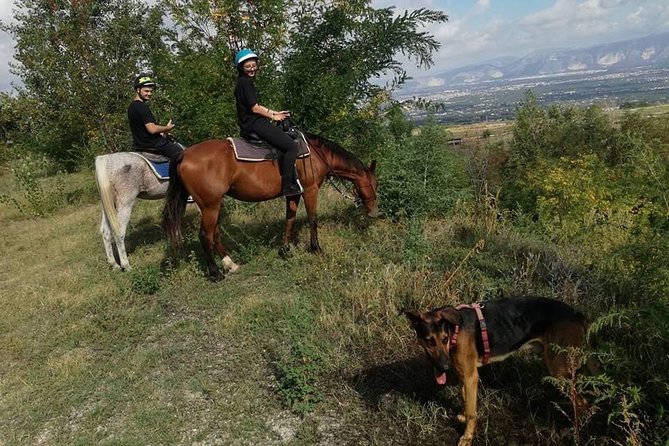 Horse Riding on Mount Vesuvius - The ranch aperitif is more than an afterthought