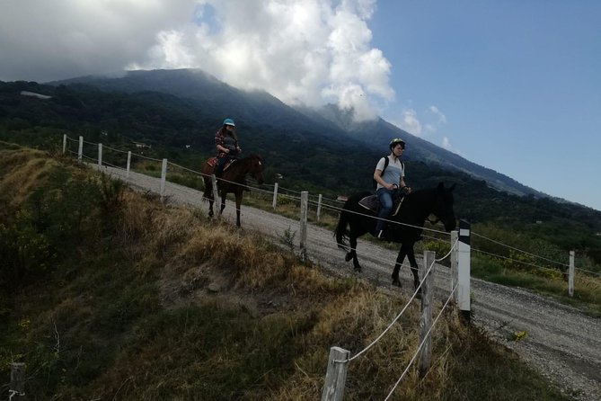 Horse Riding on Mount Vesuvius - What you will and will not see