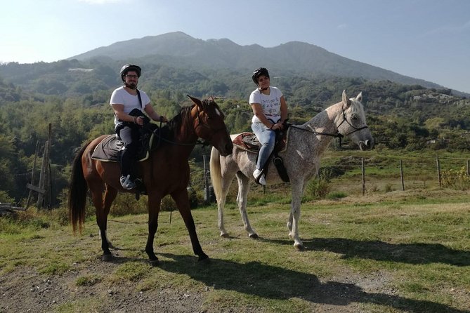 Horse Riding on Mount Vesuvius - Price, group size, and practical value