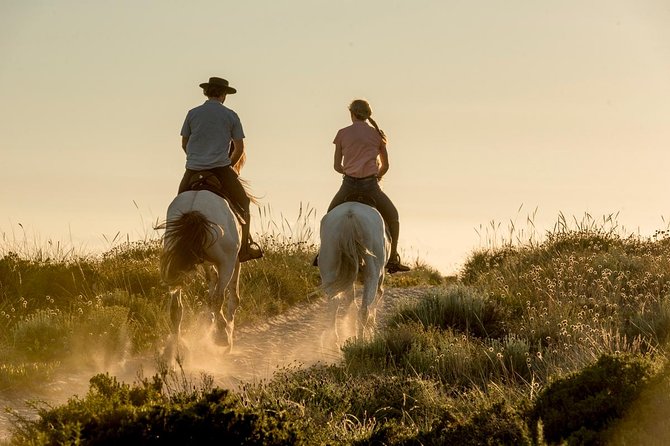 Horse Riding on the Beach - Key points to know before you book
