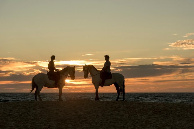 Horse Riding on the Beach - Can experienced riders trot or gallop?
