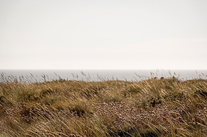 Horse Riding on the Beach - Photos, timing, and the pace of the outing