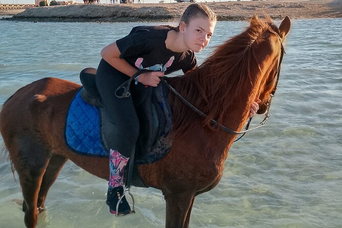 Horse Riding on the Beach And Desert 3 hours From Hurghada - Key points at a glance