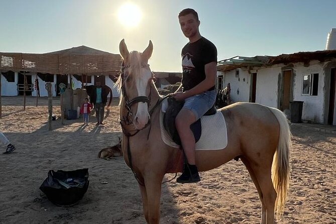 Horse Riding on the Beach And Desert 3 hours From Hurghada - Riding from Hurghada into the desert