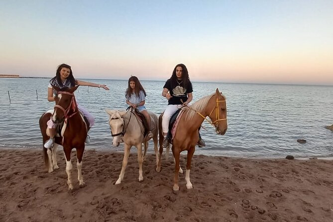 Horse Riding on the Beach And Desert 3 hours From Hurghada - Swimming with the horses