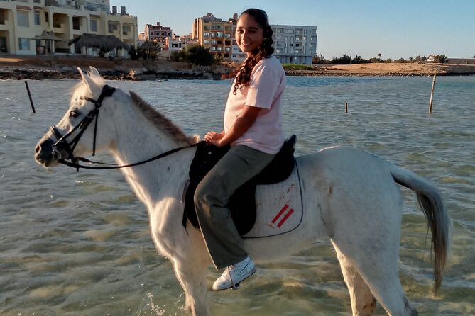 Horse Riding on the Beach And Desert 3 hours From Hurghada - Photos, videos, and an important question to ask