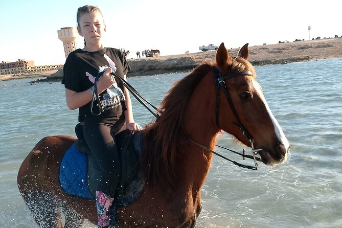 Horse Riding on the Beach And Desert 3 hours From Hurghada - Who should book this ride?