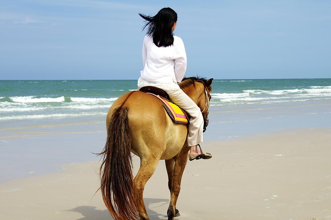 Horse Riding on the Beach in Side - The first minutes at the ranch