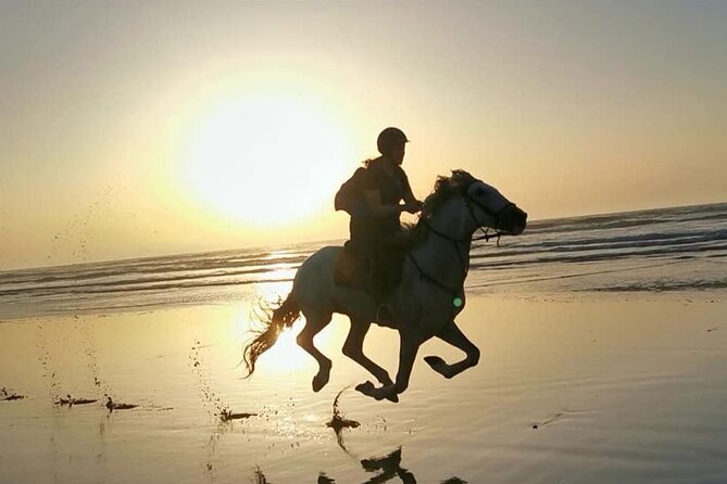 Horse riding on the beach of Essaouira 2 hours - Key points to know before you ride