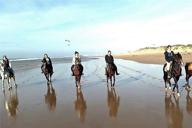 Horse riding on the beach of Essaouira 3 hours - Key points to know before booking