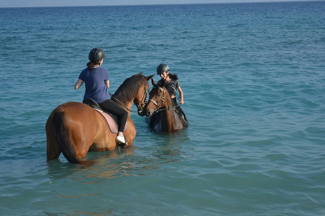 Horse riding on the Beach, Rhodes - Key points before you saddle up