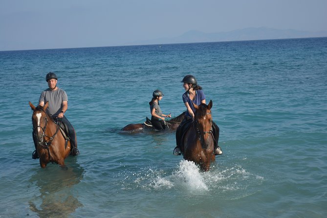 Horse riding on the Beach, Rhodes - What happens when you arrive at the stable