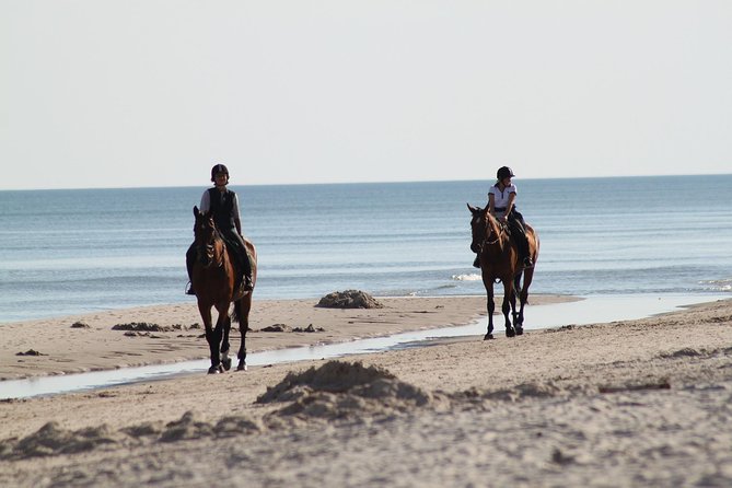 Horse riding on the Beach, Rhodes - The sea entry is the big question