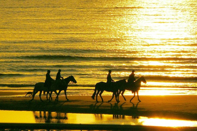 Horse riding on the Beach, Rhodes - Is $133.12 good value for one hour?