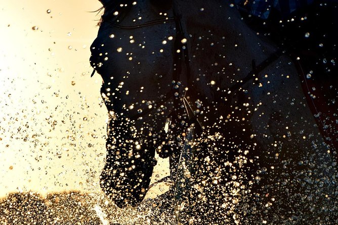 Horse riding on the Beach, Rhodes - Who should book this ride?