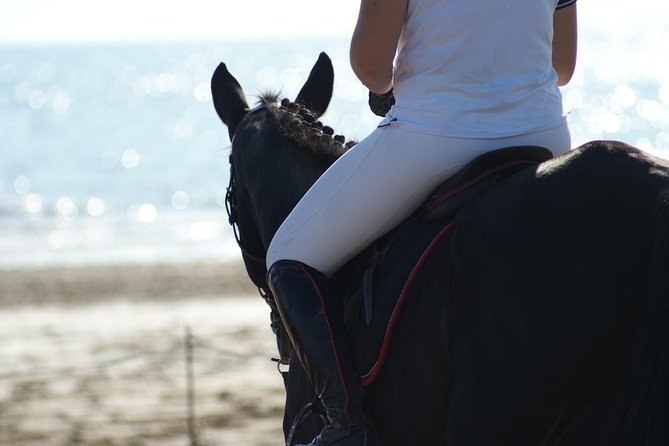 Horse riding on the Beach, Rhodes - Practical details that affect the day