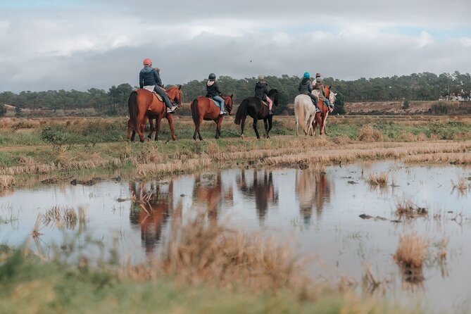 Horse Riding on the Beach with private transfer from Lisbon - Private transfer and group size: what you are paying for