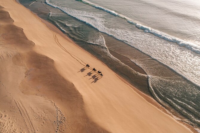 Horse Riding on the Beach with private transfer from Lisbon - Weather, comfort, and practical limits