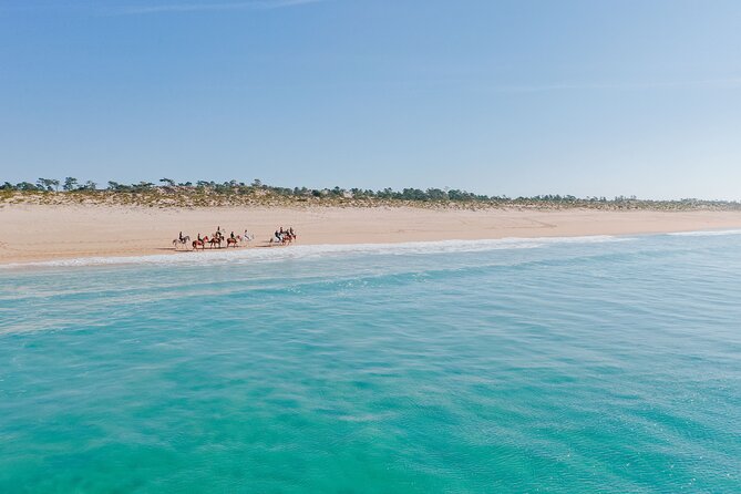 Horse riding on the beach, with private transfer from Lisbon - What the two-hour beach ride is really like