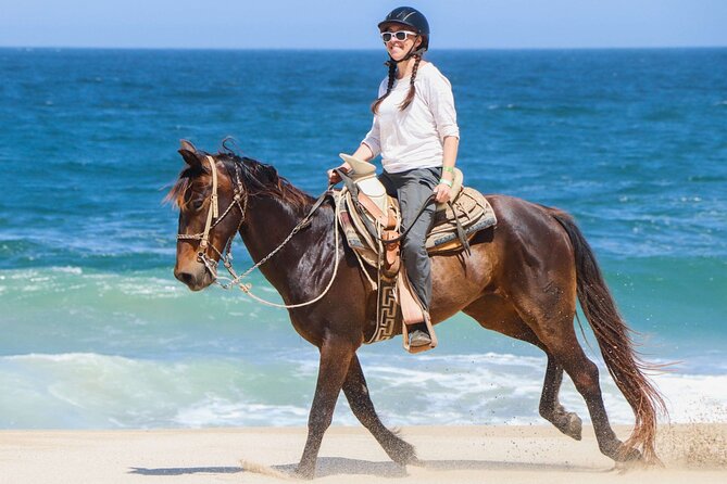 Horse Riding on the beach With Transfer From Sharm El Sheikh - Key points to know before you book