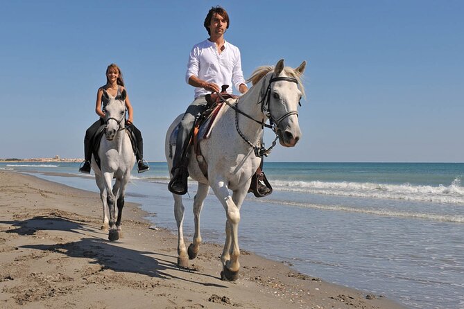 Horse Riding on the beach With Transfer From Sharm El Sheikh - The safety briefing is important for first-time riders