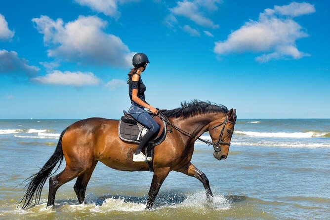 Horse Riding on the beach With Transfer From Sharm El Sheikh - What the beach ride offers