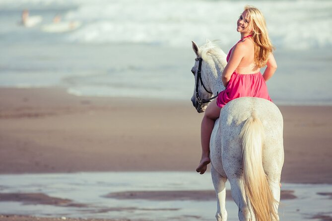 Horse Riding on the beach With Transfer From Sharm El Sheikh - The horses and the human side of the outing