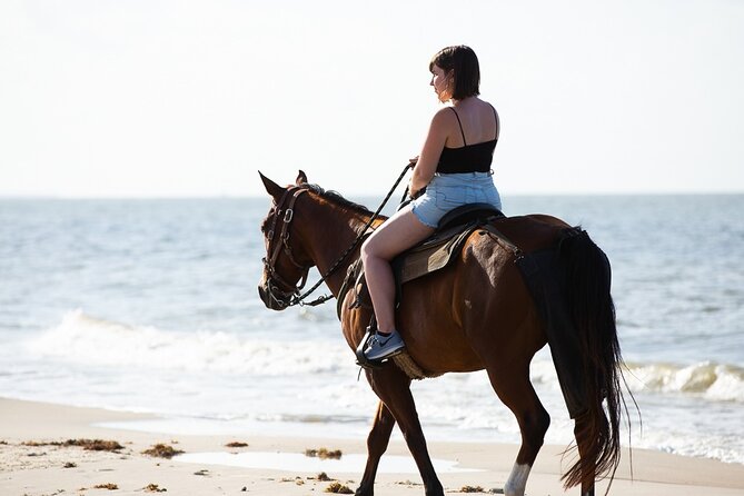 Horse Riding on the beach With Transfer From Sharm El Sheikh - Who should book this horse ride?