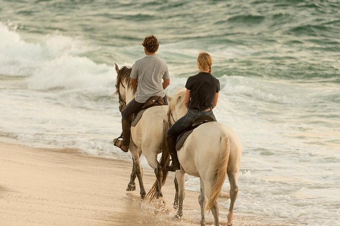 Horse Riding on the beach - Getting ready for the horse and beach