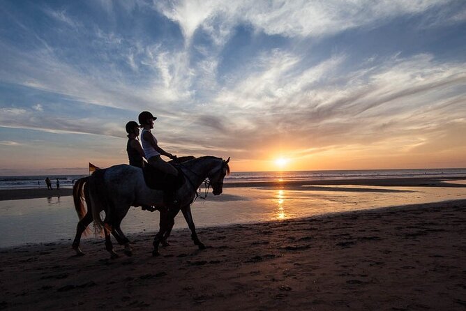 Horse Riding on the Black Sand Beach and Free Hotel Transfers - Key points to know before booking