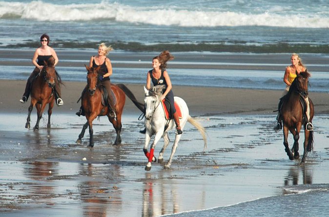 Horse Riding on the Black Sand Beach and Free Hotel Transfers - The horse, the rules, and your comfort