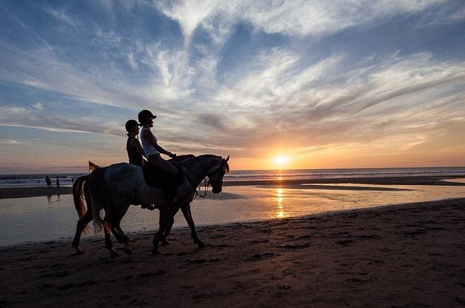 Horse Riding on the Black Sand Beach and Free Hotel Transfers - Who will get the most from this outing