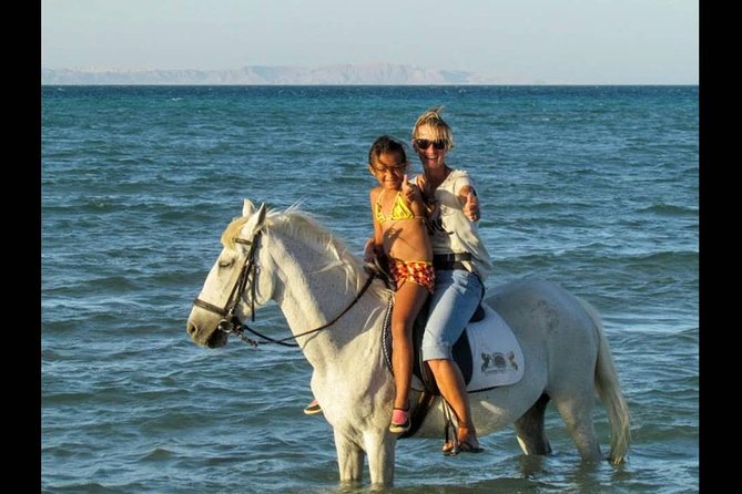 Horse Riding One Hour at Desert With Transfer - Sharm El Sheikh - Tea, shade, and a rest for the horses