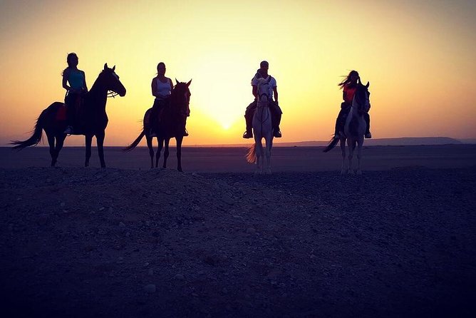 Horse Riding One Hour at Desert With Transfer - Sharm El Sheikh - Returning to the stables and hotel