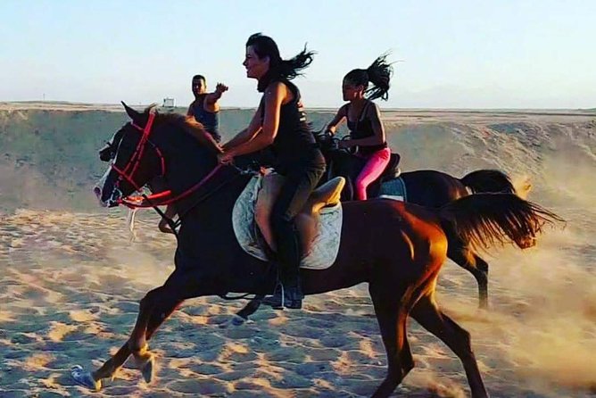 Horse Riding One Hour at Desert With Transfer - Sharm El Sheikh - Who will enjoy this ride most