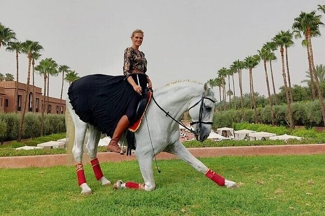 Horse Riding one hour Palmeraie Grove & Transfer - Marrakesh - Key Points Before You Book