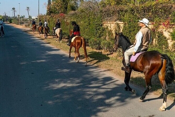 Horse Riding one hour Palmeraie Grove & Transfer - Marrakesh - Leaving Marrakech for the Palmeraie