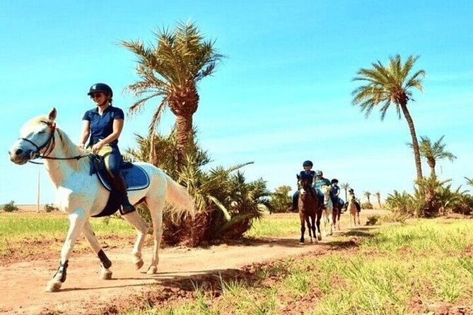 Horse Riding one hour Palmeraie Grove & Transfer - Marrakesh - Choosing a Horse for a One-Hour Ride
